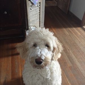 Meet your Posher, Beth